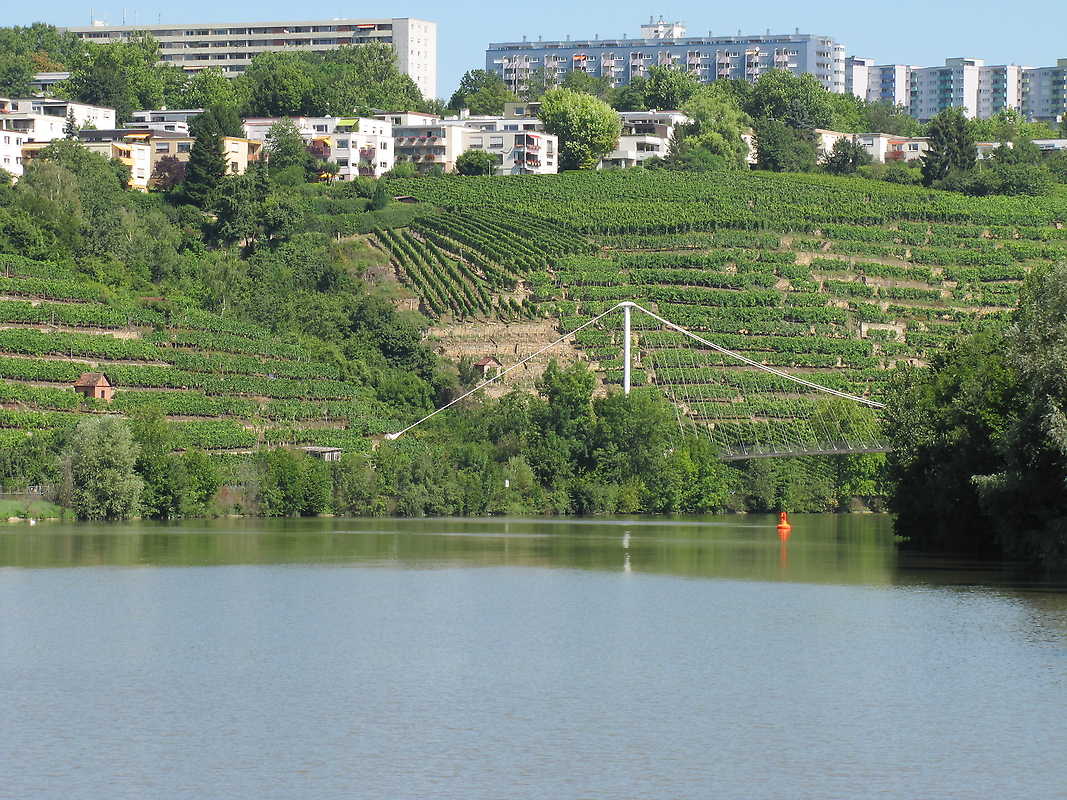 Neckar bei Hofen