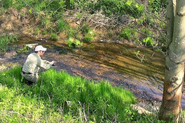 Angler an der Rems