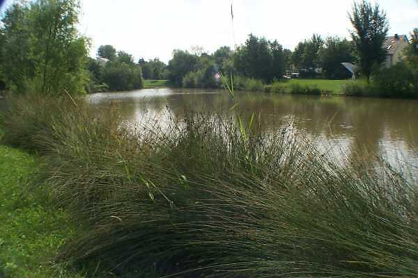 Lindenbachweiher Stuttgart-Weilimdorf