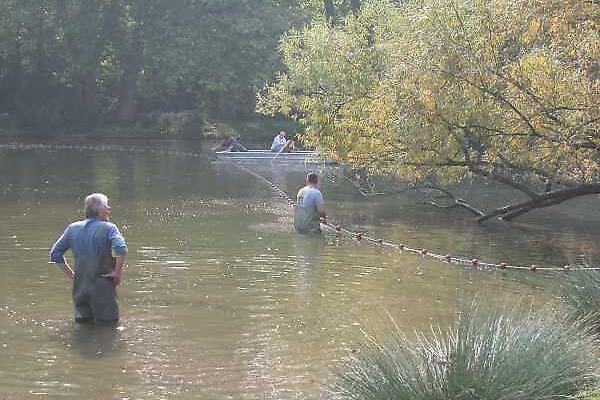 Bonatzsee Schlossgarten