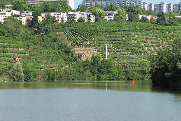 Neckar bei Hofen