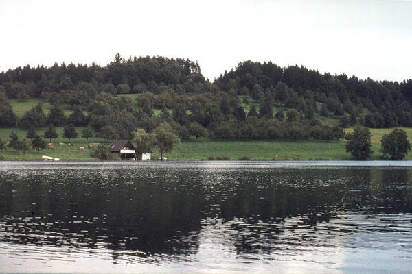 Der Schleinsee