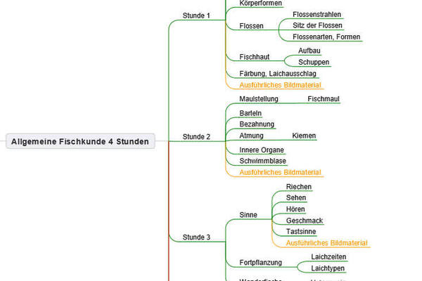 Allgemeine Fischkunde