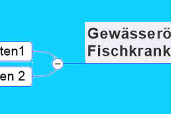 Fischkrankheiten