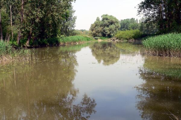 Großes Altwasser links