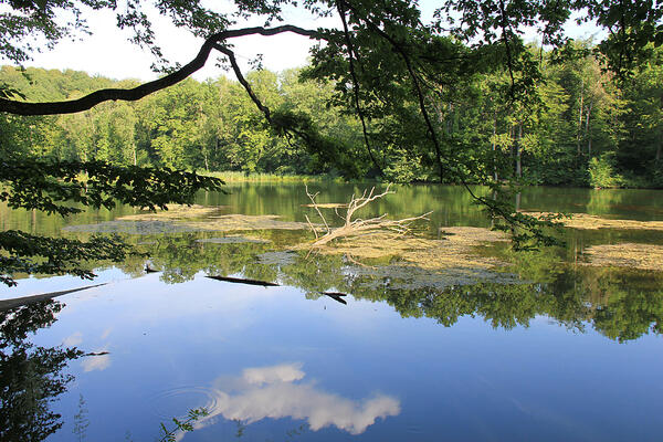 Katzenbachsee