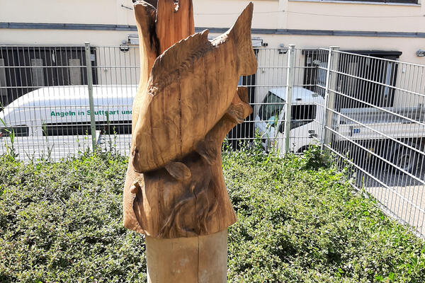 Karpfen, von einem Kettensägenkünstler. Von einem Sponsor gespendet.