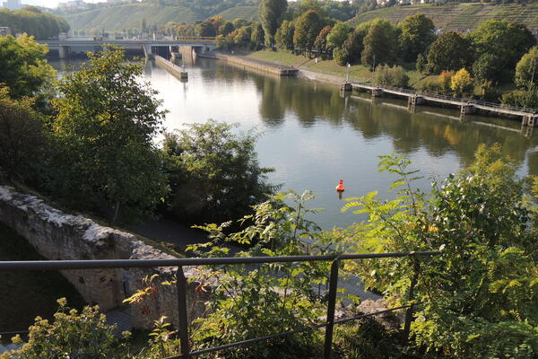 Blick von Burg Hofen