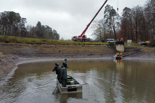 Das Restwasser des Bärensees wird abfischt