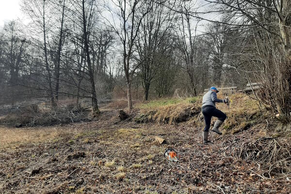 Der wieder freie Angelplatz an den Bänken