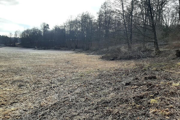 Einige der Holzinseln