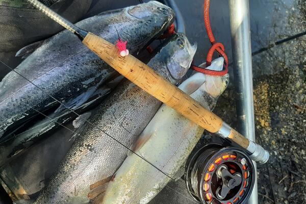 Die Booby-Fly konnte einige Forellen überzeugen.