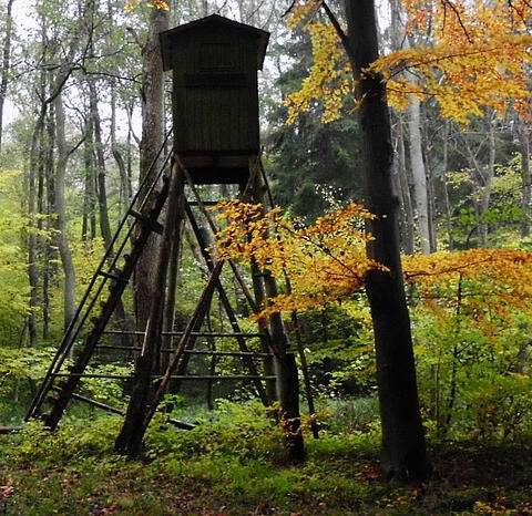 Jagdkanzel