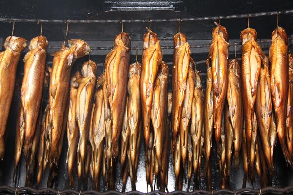 Geräucherte Forellen