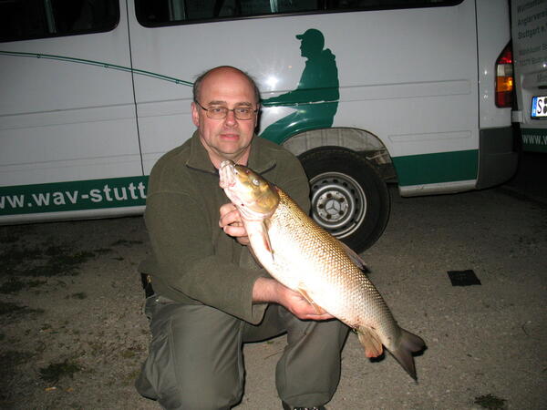 Barbe aus dem Neckar bei Stuttgart