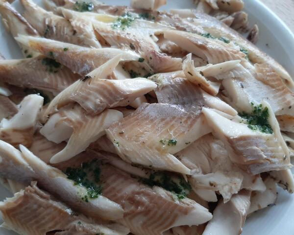 Forellenfilets