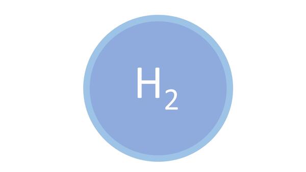 h2
