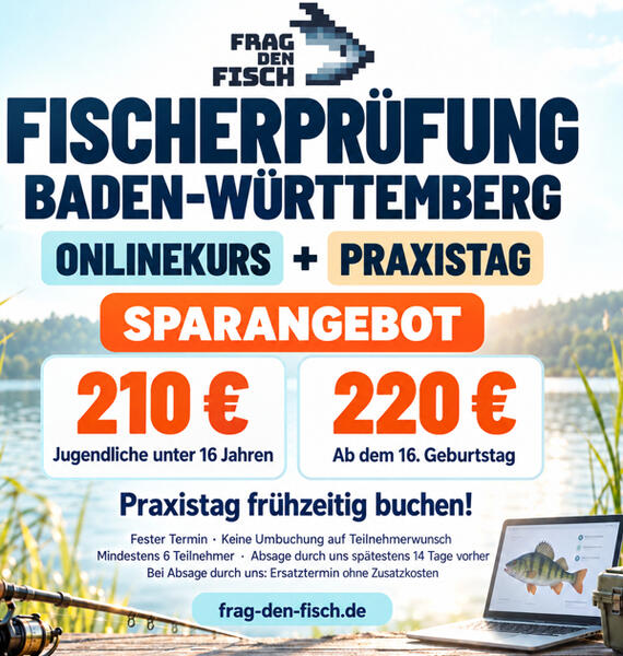 Sparangebot